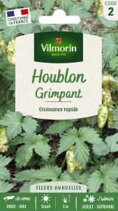 Houblon Grimpant